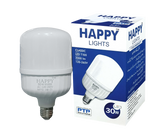 30W LED BULB (T100)